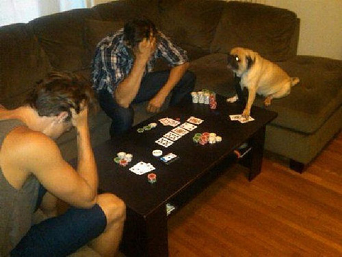 【劲爆】超级恶搞图片之爆笑图片：玩扑克,打牌各种输牌的惨烈模样。