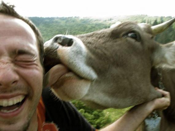 【经典】搞笑动物之人与动物搞笑图片。